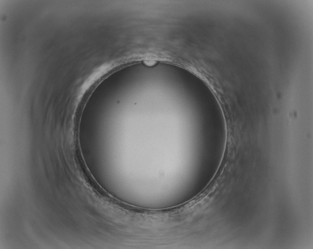 X0000064050008200601301225