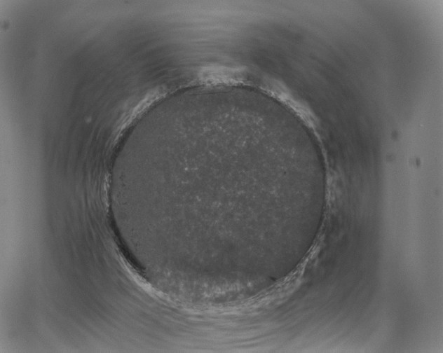 X0000064050009200601301225