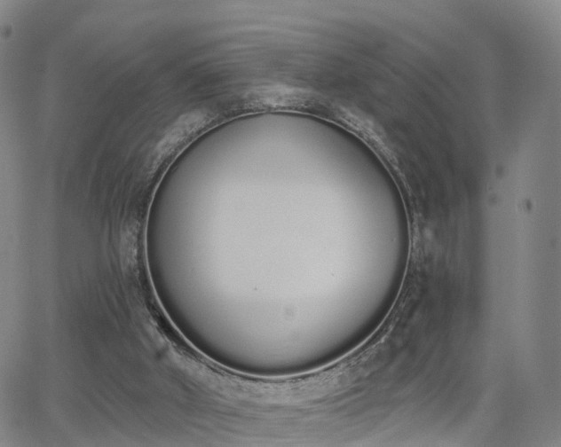 X0000064050010200601301225