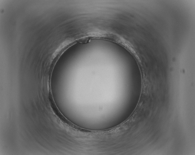 X0000064050011200601301225