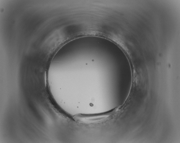 X0000064050013200601301225