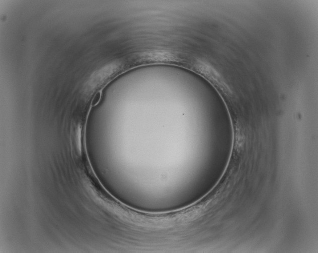 X0000064050014200601301225