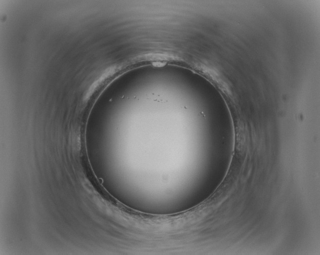 X0000064050015200601301225