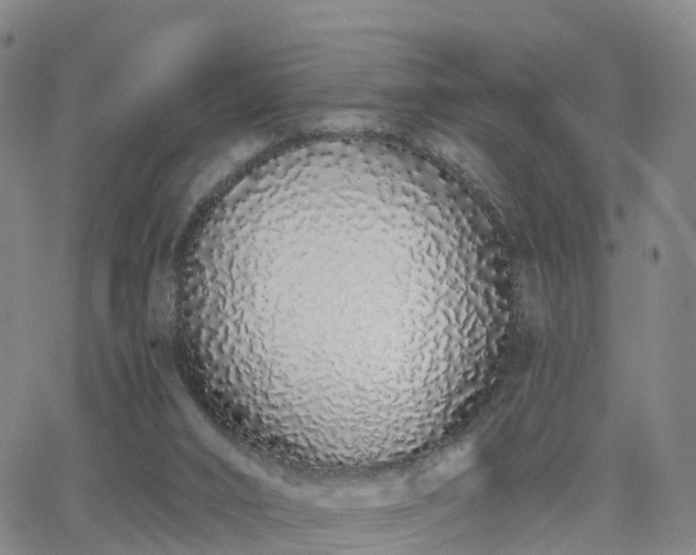 X0000064050016200601301225