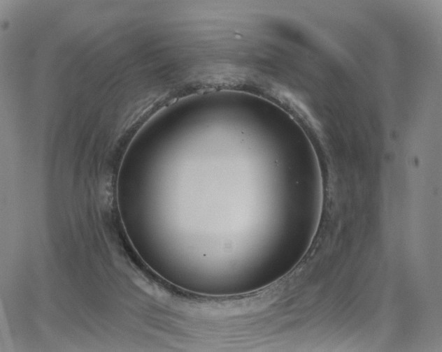 X0000064050017200601301225