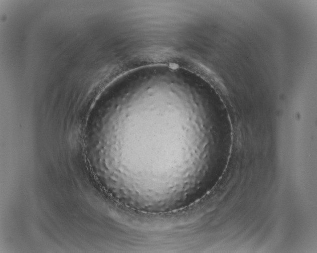 X0000064050018200601301225