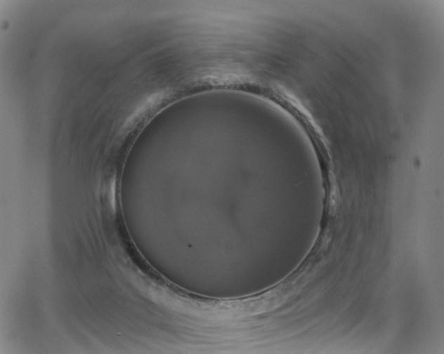 X0000064050019200601301225