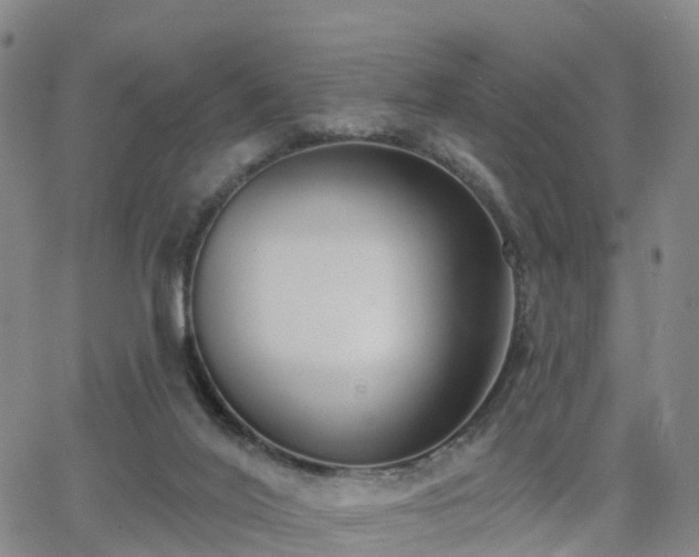 X0000064050020200601301225