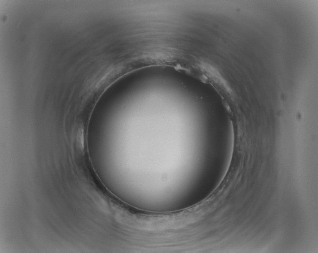 X0000064050021200601301225