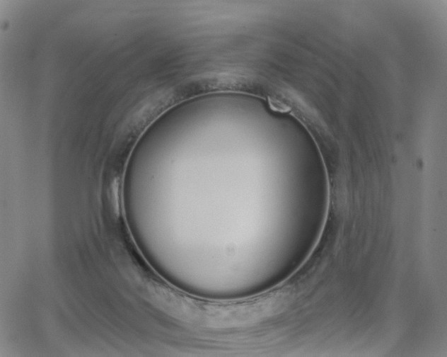 X0000064050022200601301225