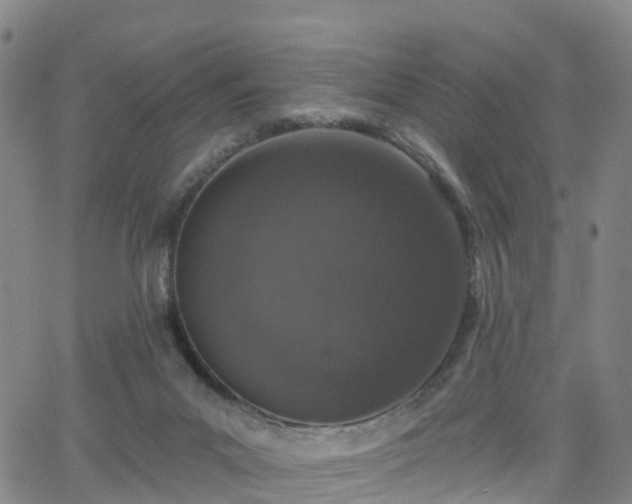 X0000064050023200601301225