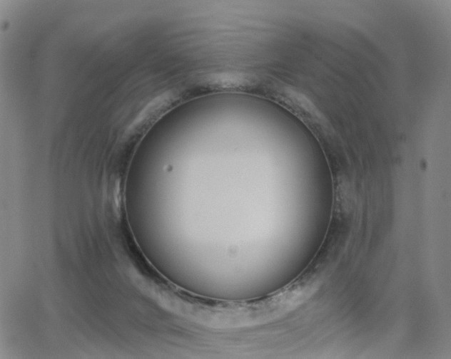 X0000064050024200601301225