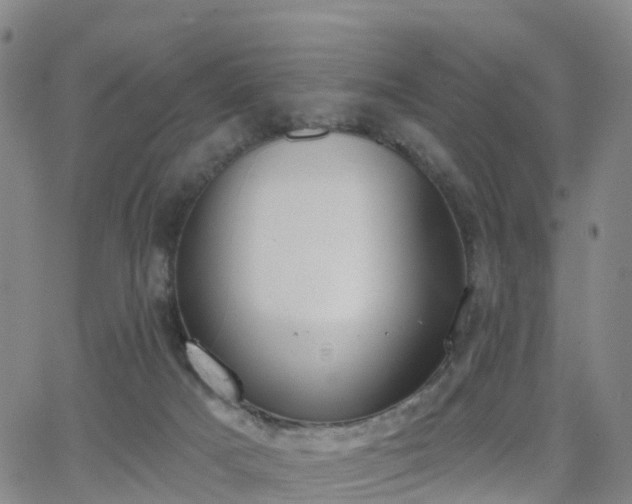 X0000064050025200601301225