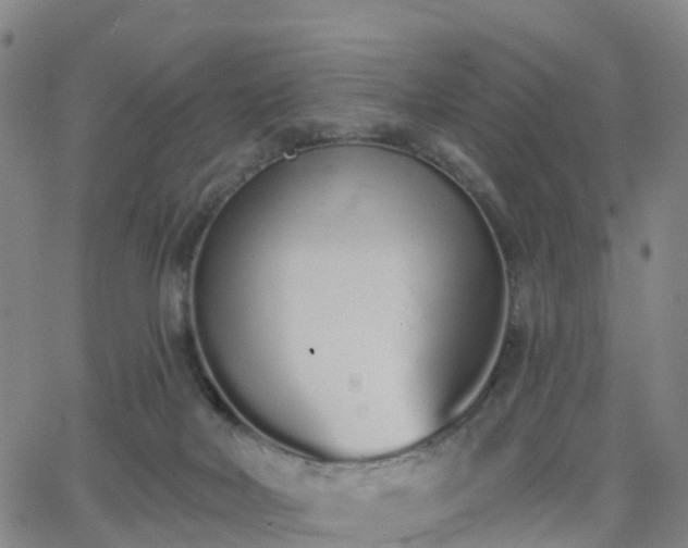 X0000064050026200601301225