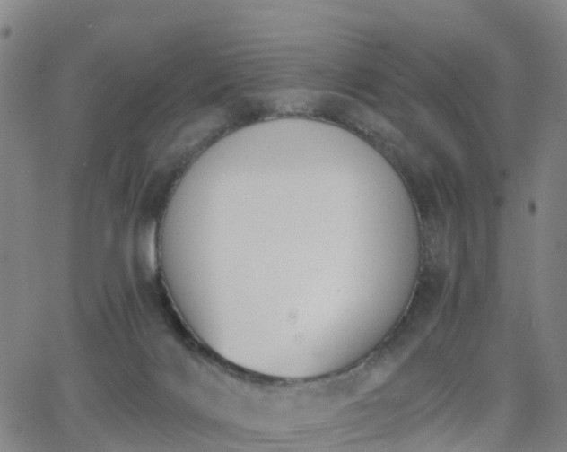 X0000064050028200601301225