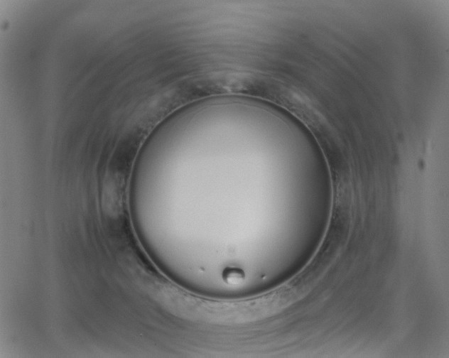 X0000064050030200601301225