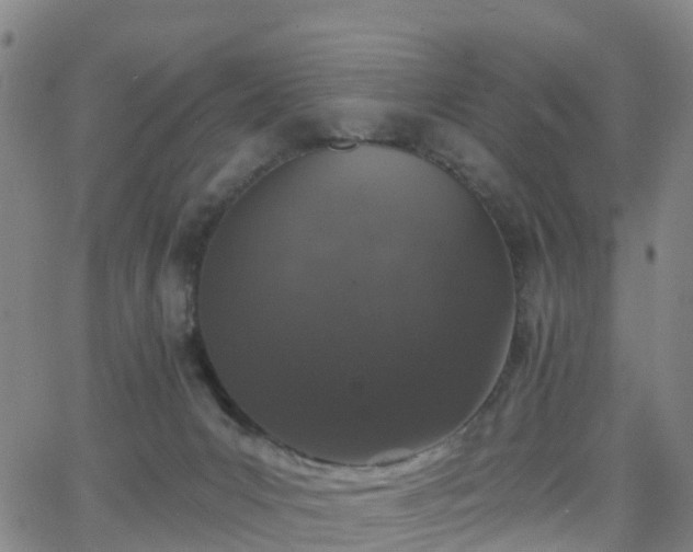 X0000064050031200601301225