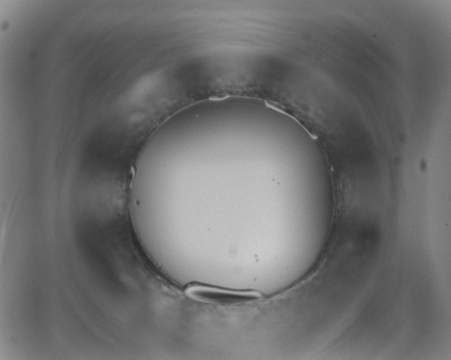 X0000064050033200601301225