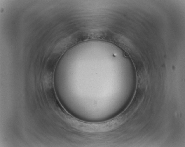 X0000064050034200601301225