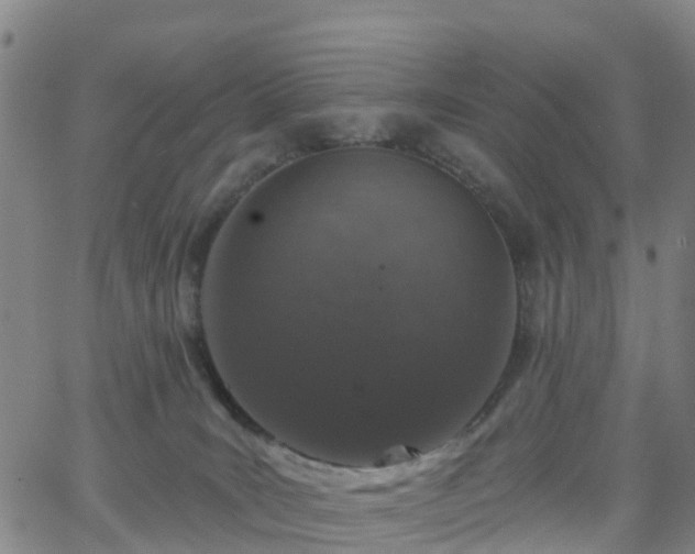 X0000064050035200601301225