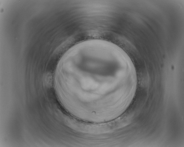 X0000064050036200601301224