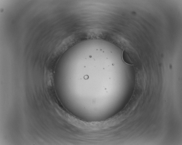 X0000064050038200601301224