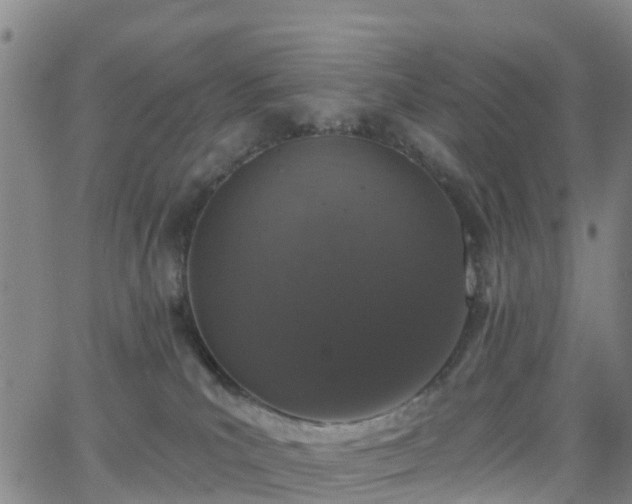 X0000064050039200601301224