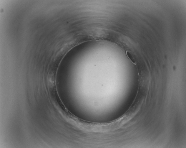 X0000064050040200601301224