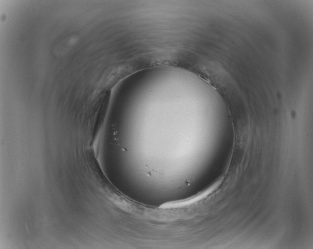 X0000064050041200601301224