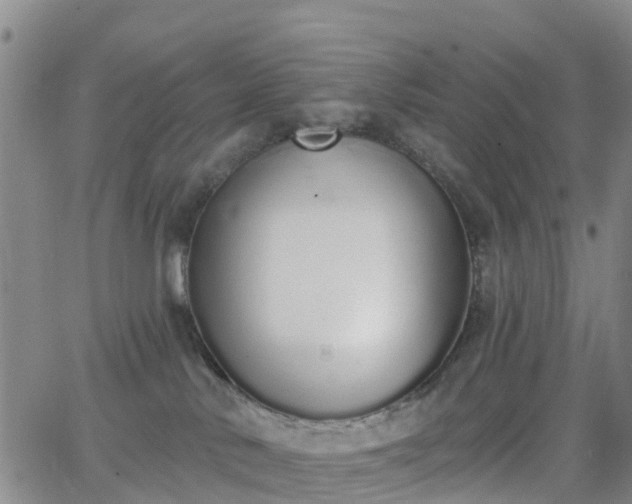 X0000064050042200601301224