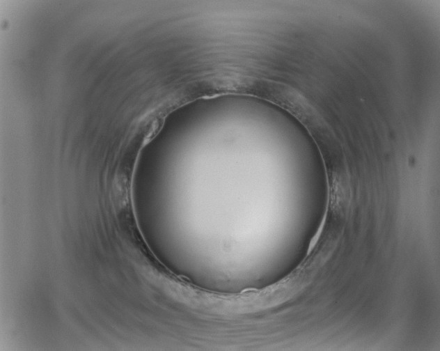 X0000064050043200601301224