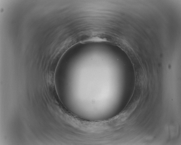 X0000064050044200601301224