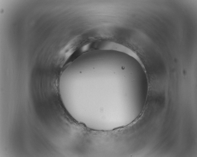 X0000064050045200601301224