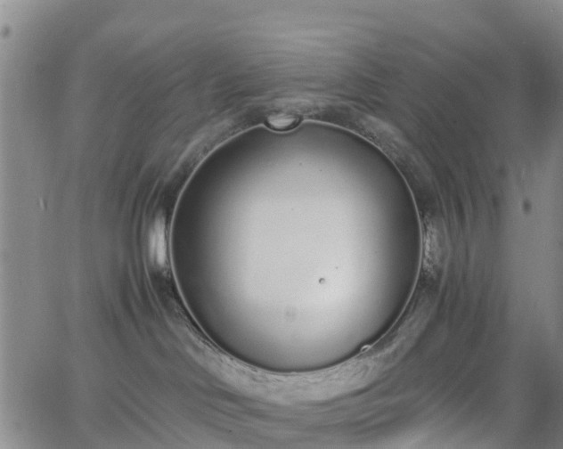 X0000064050046200601301224