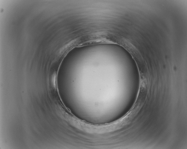 X0000064050047200601301224