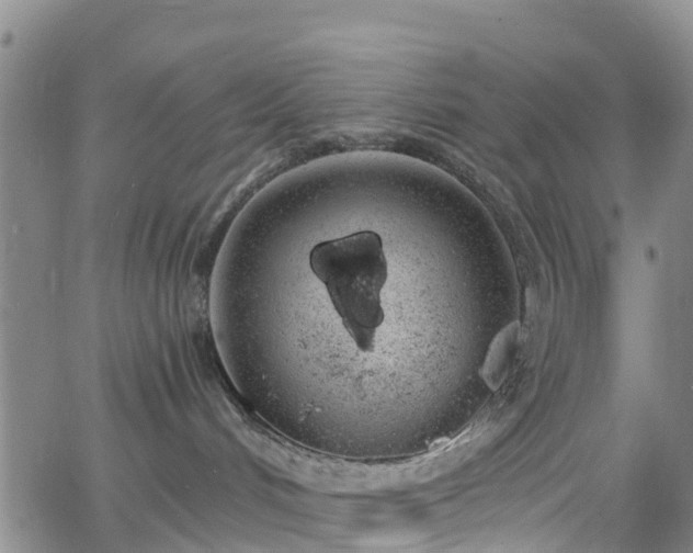 X0000064050048200601301224