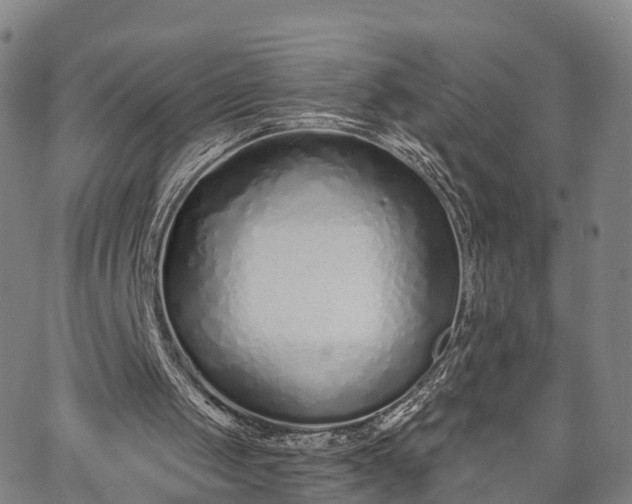 X0000064050049200601301224