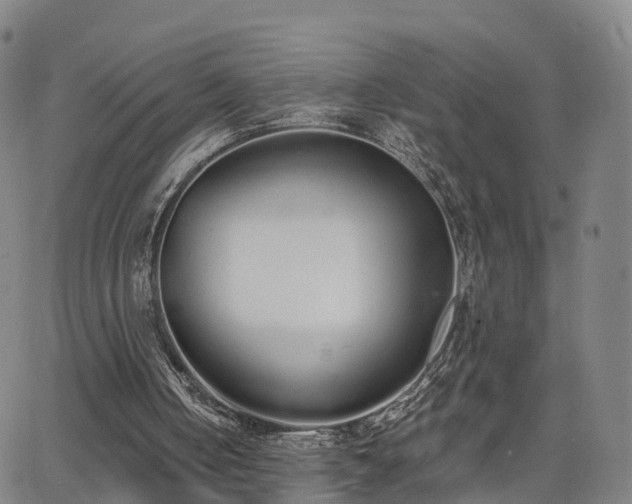 X0000064050050200601301224