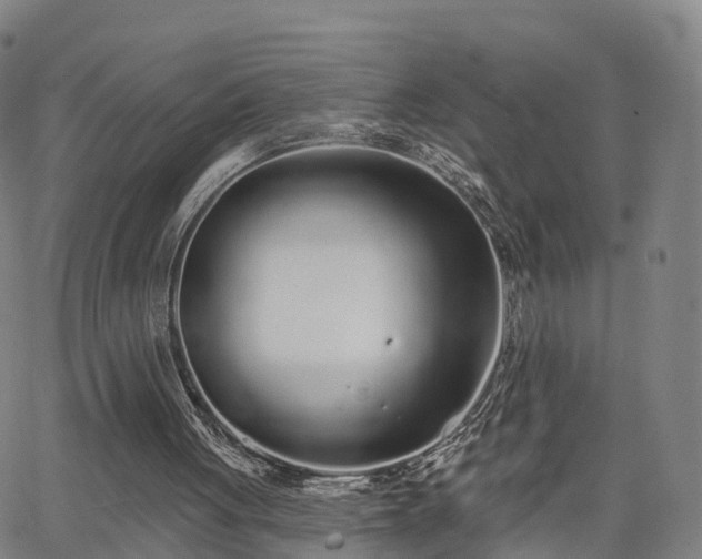 X0000064050051200601301224