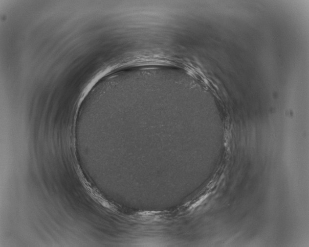 X0000064050052200601301224