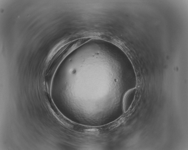 X0000064050053200601301224