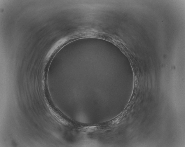 X0000064050054200601301224