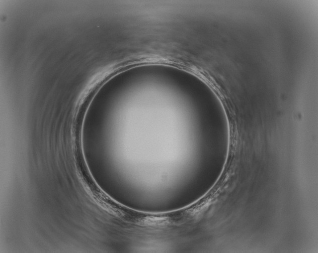 X0000064050055200601301224