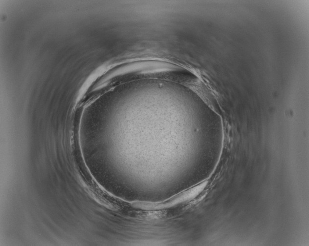 X0000064050056200601301224