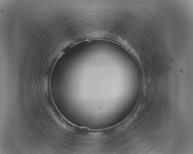 X0000064050057200601301224