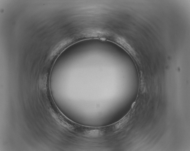 X0000064050058200601301224