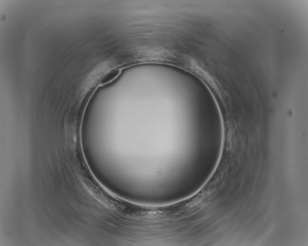 X0000064050059200601301224