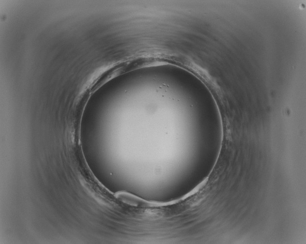 X0000064050060200601301224