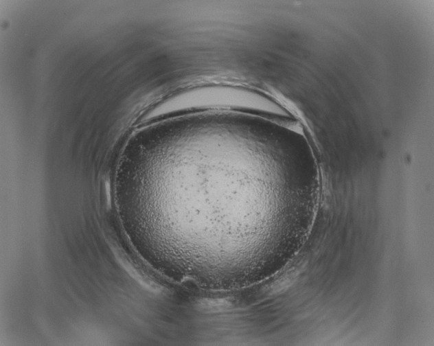 X0000064050061200601301224