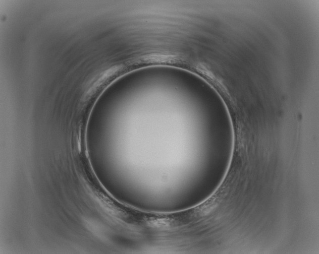 X0000064050062200601301224